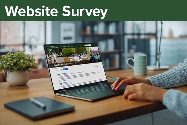 Website Survey