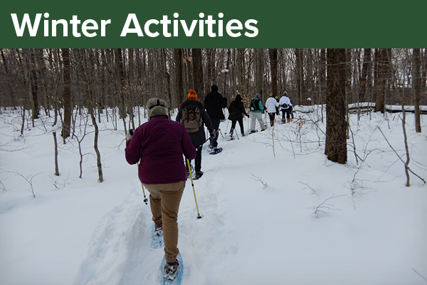 Winter Activities