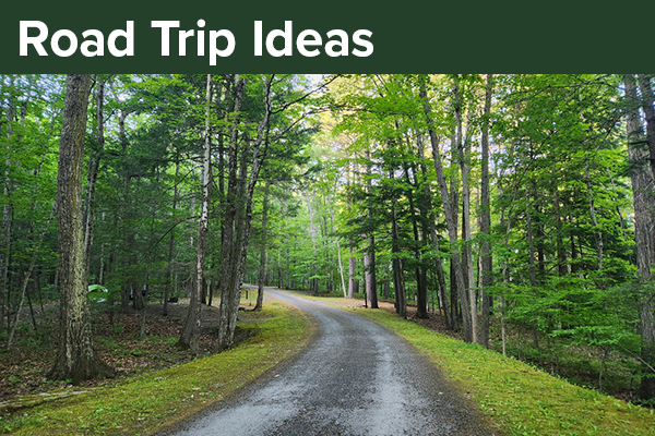 Road Trip Ideas