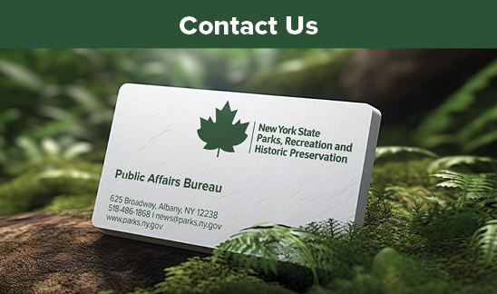 Contact Us. A white business card sitting on a pine tree branch. On the business card is a green maple leaf and green text that reads, "New York State Parks, Recreation, and Historic Preservation" located in the upper right-hand corner. On the lower left-hand corner in green text is the text, "Public Affairs Bureau, 625 Broadway, Albany, NY 12238 518-486-1868 | news@parks.ny.gov, www.parks.ny.gov."