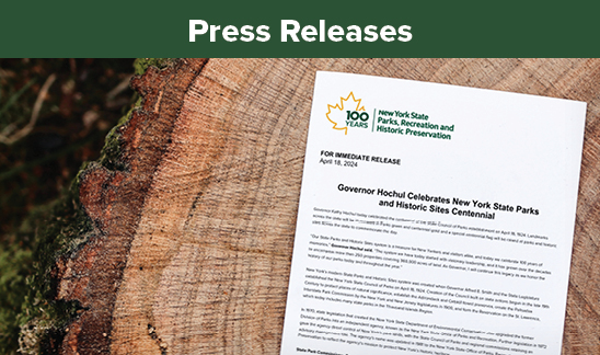 Press Releases. A piece if white paper laying on the stump of a tree. There is moss on the bark of the tree. On the piece of paper in the upper left-hand corner is there is a golden maple leaf outline with the green text breaking the right side of the outline. The text reads, "100 years." Next to the maple leaf is the text, "New York State Parks, Recreation, and Historic Preservation." In the center of the page in black is the text, "Governor Hochul Celebrates New York State Parks and Historic Sites Centennial."