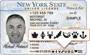 New York State DMV Photo Issued Document
