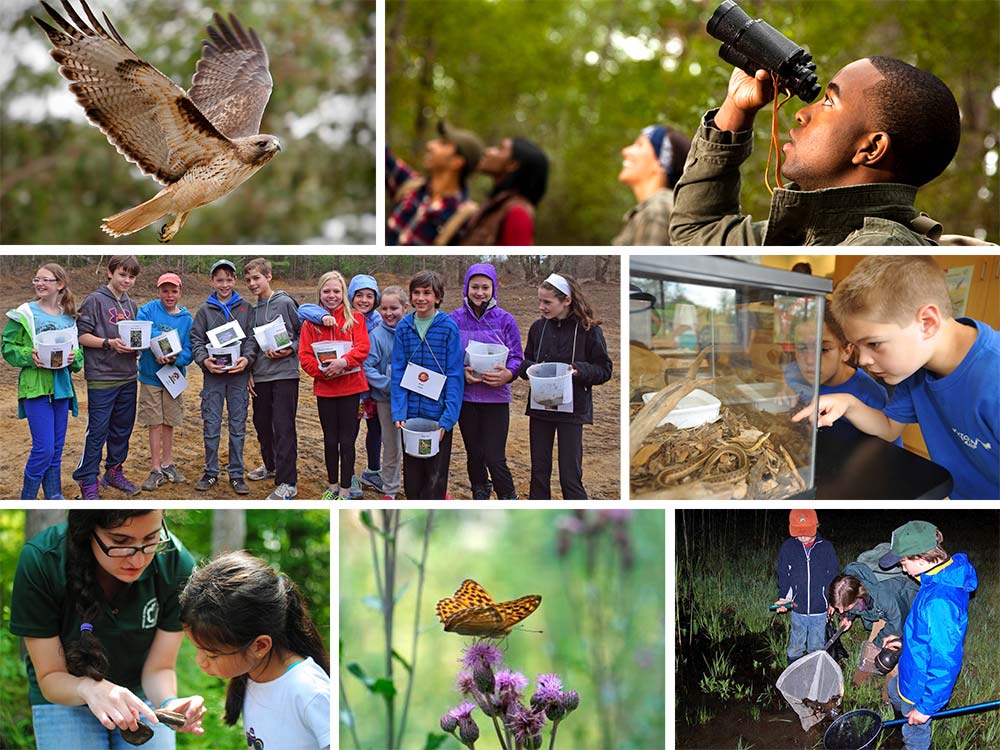 New York State Park Nature Centers