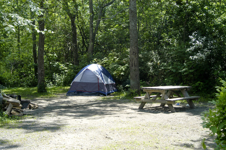Thompson's Lake State Park, nestled in the mountains just four miles from the Helderberg Escarpment, is a popular camping ground and recreation area. In addition to 140 wooded campsites, the park comprises a sandy beach, mixed hardwood and conifer forests, limestone outcroppings and open fields. Recreational opportunities include a volleyball court, horseshoe pits, a playing field, swingsets, carry-in boat access, rental row boats, fishing areas, and nature trails. Interpretive and recreational programs are offered for campers throughout the summer. During the winter, visitors can cross-country ski and ice fish.
