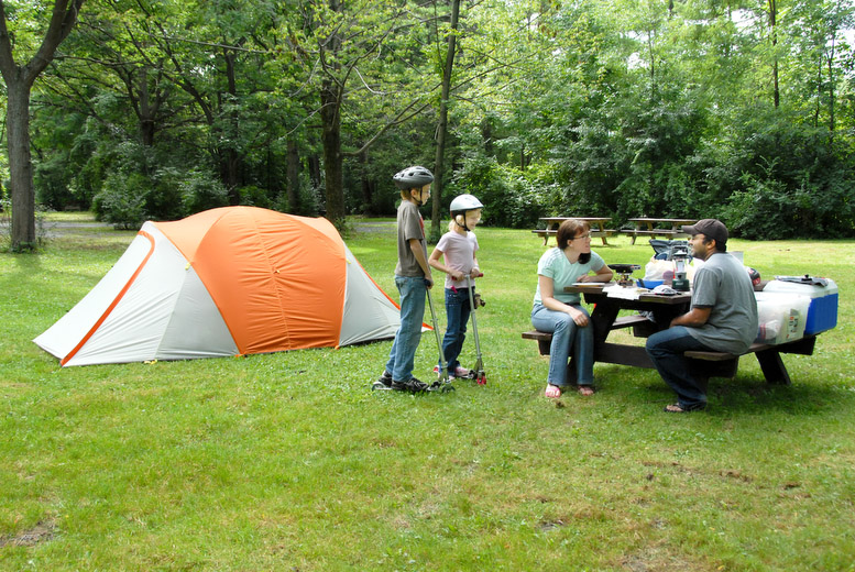 Cayuga Lake State Park's terrain is flat at lakeshore, where the beach and sun lawns are, then slopes gently uphill to campsites and cabins. The scenic highlight of the park is its expansive view of Cayuga Lake. In the shallow water near the park, largemouth bass, bullheads and carp thrive. In deeper water, anglers can catch northern pike, small mouth bass, lake trout, landlocked salmon and many other varieties of fish. The park has a boat launch, playground, playing field.
