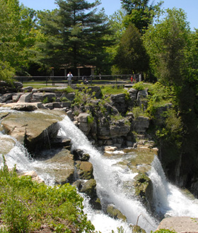 are dogs allowed at chittenango falls