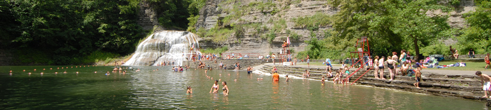 Robert H Treman State Park Fishing